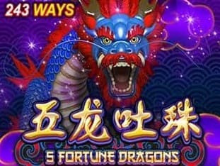 5 Fortune Dragons